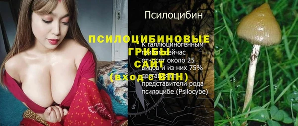 spice Алексин