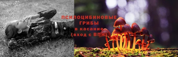 apvp Аркадак