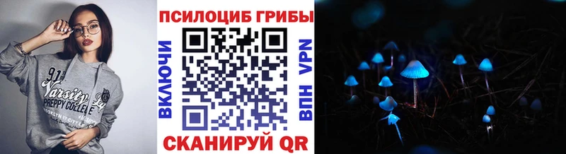 МЕГА ссылка  Балей  площадка формула  продажа наркотиков  Псилоцибиновые грибы Psilocybine cubensis 